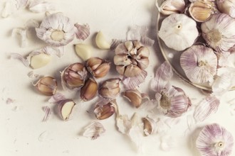Fresh garlic on a white background, top view, food concept