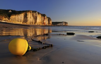 Chalk cliffs of the Alabaster Coast in the evening light, in front a yellow buoy on the beach at
