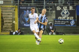 Football 3rd division, season 2024/25, matchday 12: Waldhof Mannheim vs SV Wehen-Wiesbaden.