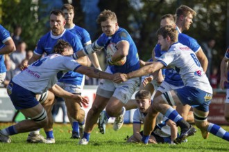 26.10.2024, Rugby 1st Bundesliga South/West, Season 2024/25, Matchday 6: SC Neuenheim vs TSV
