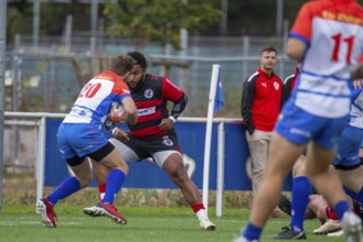 05.10..2024, Rugby 1st Bundesliga South/West, Season 2024/25, Matchday 4: Heidelberger Ruderklub