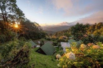 Cabins of a lodge in the cloud forest, in the evening light, Paraiso Quetzal Lodge, view over