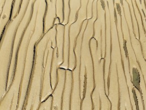 Network of channels and streams at low tide. In the marshland adjacent to the Odiel river. Aerial