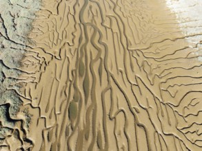 Network of channels and streams at low tide. In the marshland adjacent to the Odiel river. Aerial