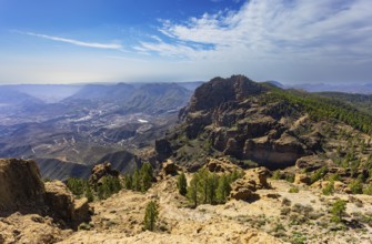 View into the valley of the Caldera de Tirajana, pine forest around the summit of El Campanario,