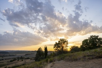 Typical Tuscan landscape in Val d'Orcia with hills, trees, fields, cypresses and farm road in