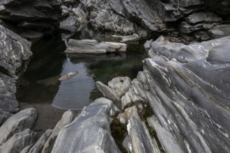 Rocks, granite rock formations in the Maggia River near Ponte Brolla, in the Maggia Valley, Valle