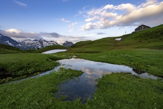 Summit in the morning light with dramatic clouds and marsh marigolds (Caltha) with stream in the