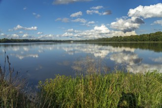 Clouds reflected in the Danube reservoir Faimingen, Lauingen Donau, Bavaria, Germany, Europe