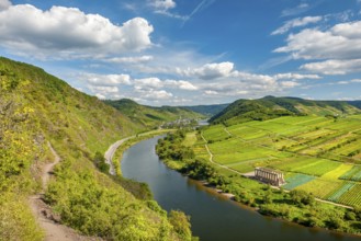 Via ferrata on the Bremmer Calmont, view of the Moselle loop and the ruins of the Stuben monastery,
