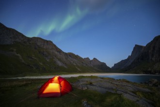 Northern lights over tent on Horseid beach, sandy beach with mountains, Lofoten, Norway, Europe