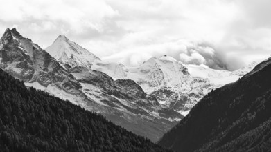 Snow-covered peaks of the mountains Le Besso and Obergabelhorn, black and white photo, Val