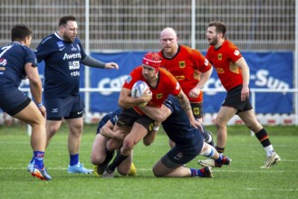 Rugby: Germany against MKS Pogon Awenta Siedlce, Poland in Heidelberg (test match of the German
