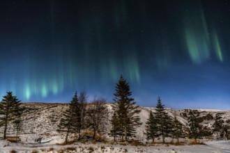 Beautiful image of a vibrant green and multi-colored Aurora Borealis, Aurora Polaris, also known as