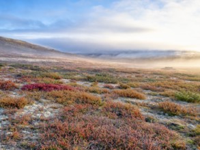 Dovrefjell National Park in autumn, the first rays of sunshine, mountains and fog, frost, Oppdal,