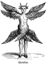 The cherubim unite four beings, lion and bull, eagle and man, Bible, they are keepers of the garden