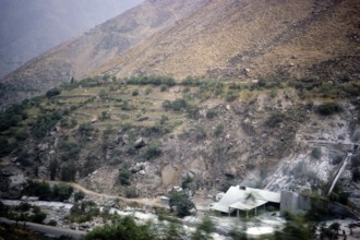 Subtitle: Ming in an Andean valley Peru, South America, around 1962