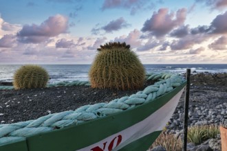 Discarded boat as flower pot, cactus, evening sky by the sea, fish restaurant in El Golfo, Yaiza,