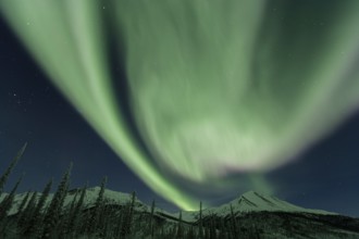 Green Northern Lights (Aurora borealis) over snowy mountains, Brooks Range, Alaska, USA, North