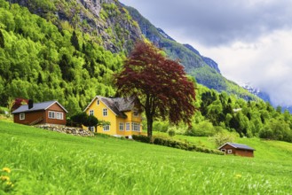 Mountains and Fjord over Norwegian Village, Olden, Innvikfjorden, Norway, Europe