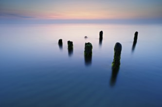 Old posts with algae in the water on the Baltic Sea beach, long exposure at sunset,