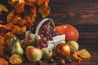 A basket of grapes and plums surrounded by pears, apples, a pumpkin, chestnuts and autumn leaves