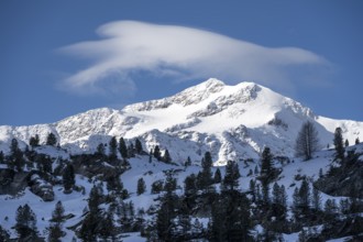 Summit of Monte Cevedale, snow-covered mountain landscape, Ortler Alps, Vinschgau Valley, Italy,