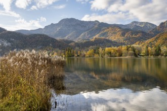 On the shore of Lake Lake Kochel with reflection, autumn landscape with mountain peaks Herzogstand