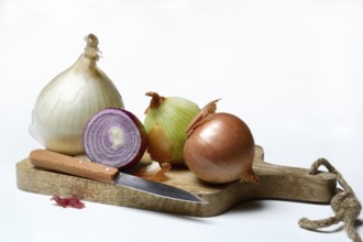 Various onions on wooden board with knife, onion, Allium cepa