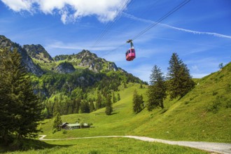 The Hochfelln cable car travels over green meadows and fir trees against a backdrop of impressive