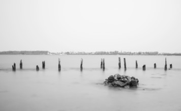 Long exposure, groynes and wooden stakes in the Baltic Sea, Rügen, Mecklenburg-Western Pomerania,