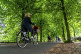 Promenade cycle path, tree-lined, car-free, approximately 4.5 km long ring road around the city