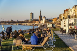 Rhine promenade, city beach, Rhine meadows, banks of the Rhine in the historic city centre of