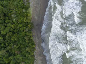 Top-down, aerial view, beach and sea, coast with rainforest, Tortuguero National Park, Costa Rica,
