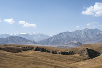 Barren landscape, erosion landscape, Naryn province, Kyrgyzstan, Asia