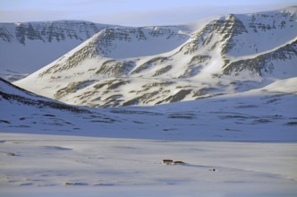 Lonely house in a snow-covered, unspoilt landscape in front of high, rugged mountains, North