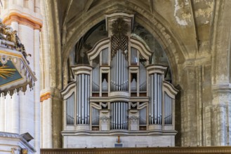 Market Church of St Boniface, Bad Langensalza, Thuringia, Germany, Europe