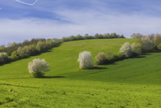 Fields near Karsdorf, Quoren and Possendorf, Karsdorf, Saxony, Germany, Europe