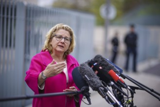 Svenja Schulze (SPD), Federal Minister for Economic Cooperation and Development, gives a statement