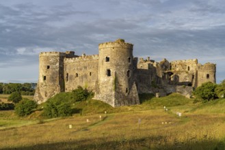 Carew Castle ruins, Pembrokeshire, Wales, Great Britain