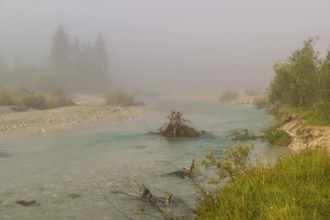Isar valley nature conservancy area. The wild Isar river flows through its gravel bed past