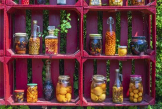 A red wooden shelf with jars and bottles full of pickled fruits and vegetables at the Hortulus