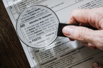 Afd, candidates Maximilian Krah and Petr Bystron, ballot paper, ballot paper for the 2024 European
