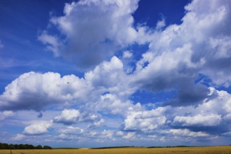 Summer landscape around Geising in the Ore Mountains, Geising, Geising, Saxony, Germany, Europe