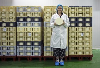 Castilian woman showing a typical Zamora cheese in a cheese factory, cheese stacked in boxes in the