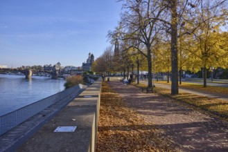 Footpath, Elbe, river, trees, light-flooded autumn foliage, wall, Augustus Bridge, metal railing,