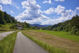 Cycle path, country road and blue sky with cumulus clouds in slight backlight in a landscape near