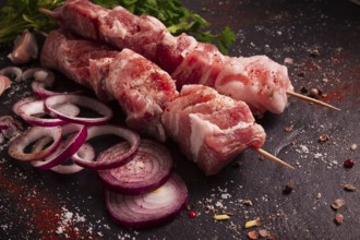 Raw pork meat, pickled kebab, with spices, top view, no people