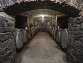 Oak wine barrels in the cellar of a winery, wine cellar, Bernkastel-Kues, Moselle,