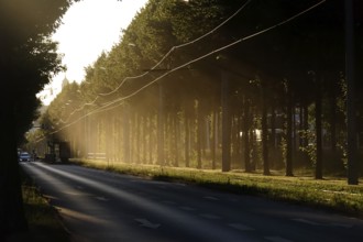 Summer heat in the city, July, Germany, Europe